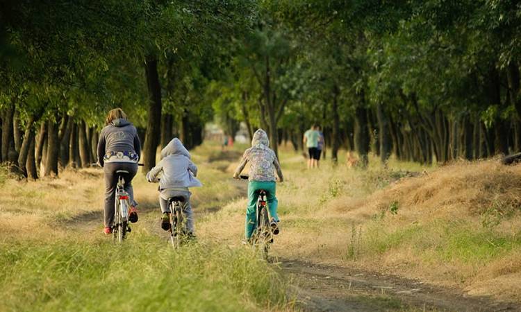 Découvrir Idées de vacances en famille originales en France