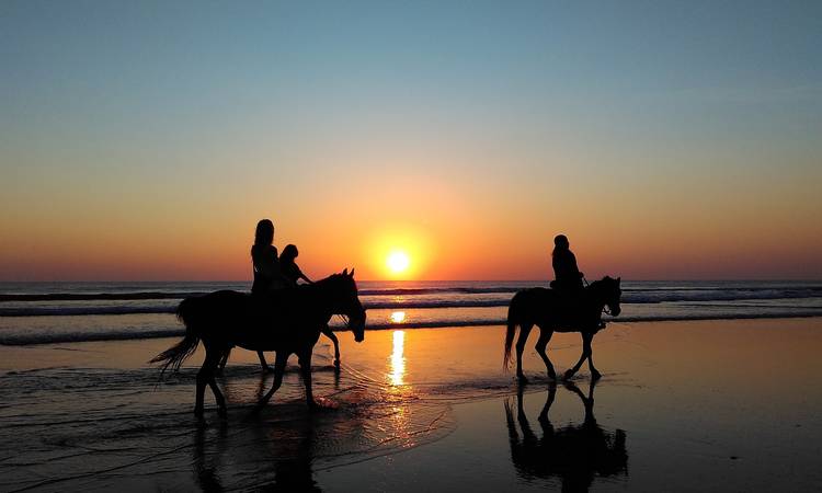 Découvrir Partir en vacances avec son cheval