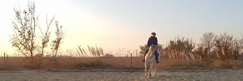 Séjour avec son cheval en Camargue