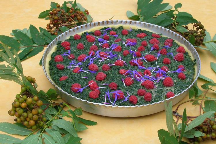 Tarte aux orties et framboises réalisée avec la cueillette du jour