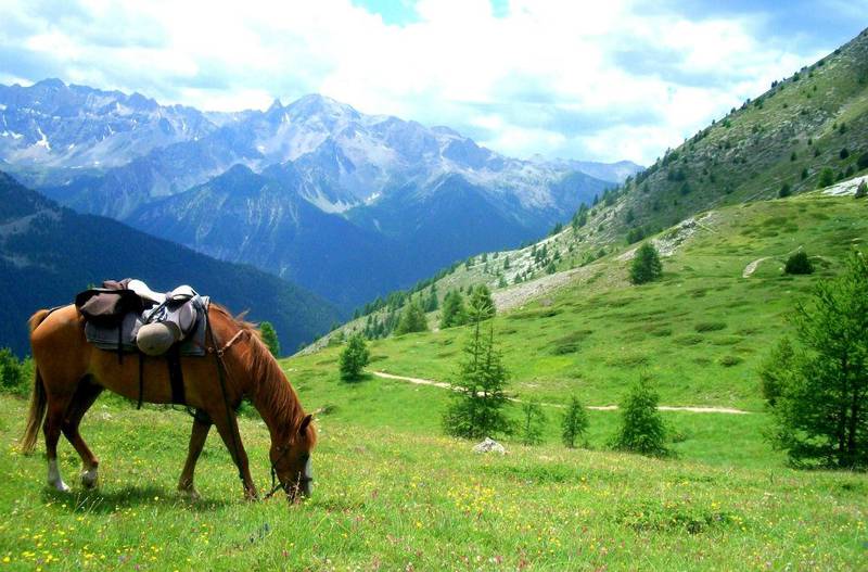 Séjour randonnée montagne cheval