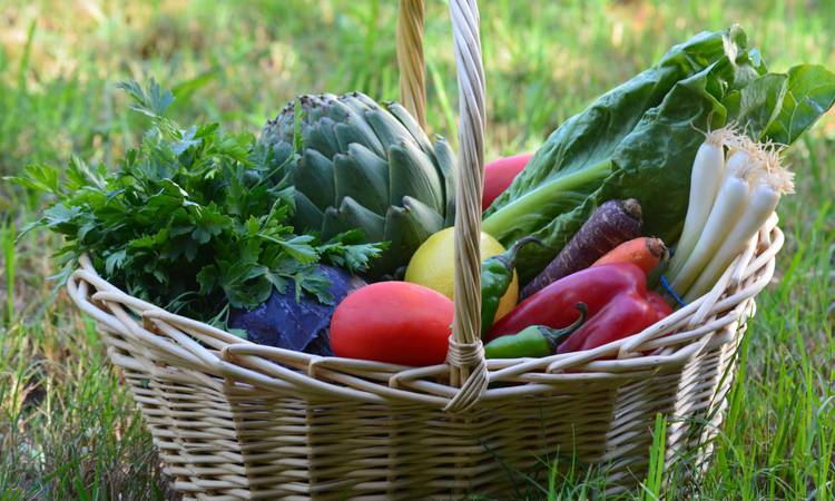 Découvrir Cours de cuisine vegan au pied du Vercors