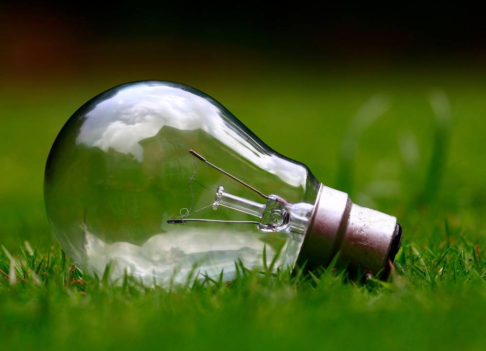 light bulb in grass