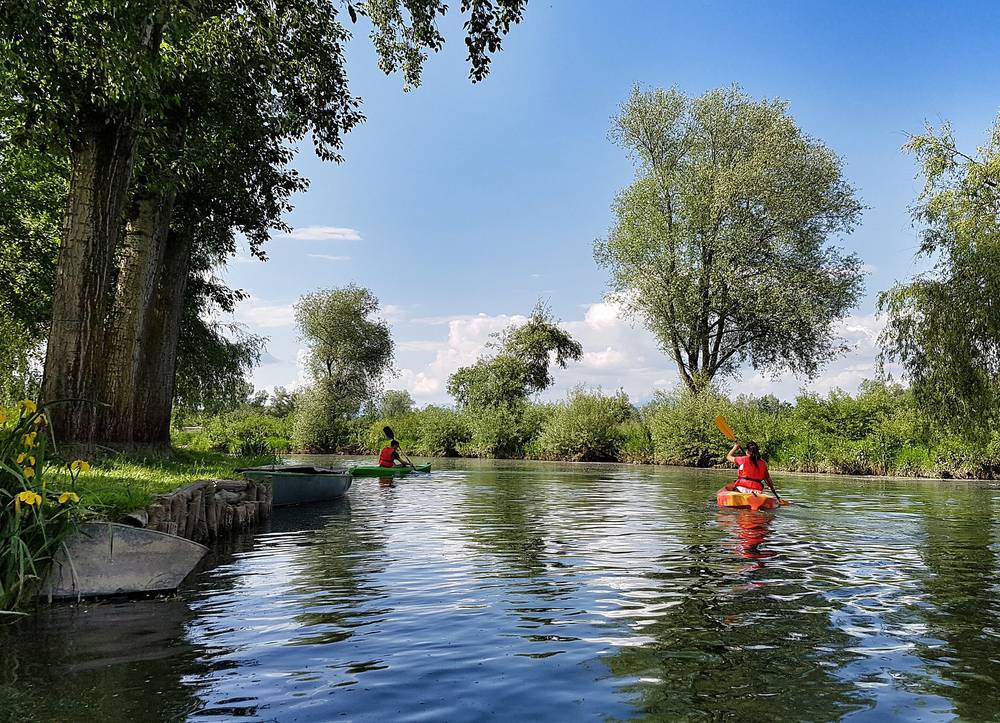 canoë sur une rivière