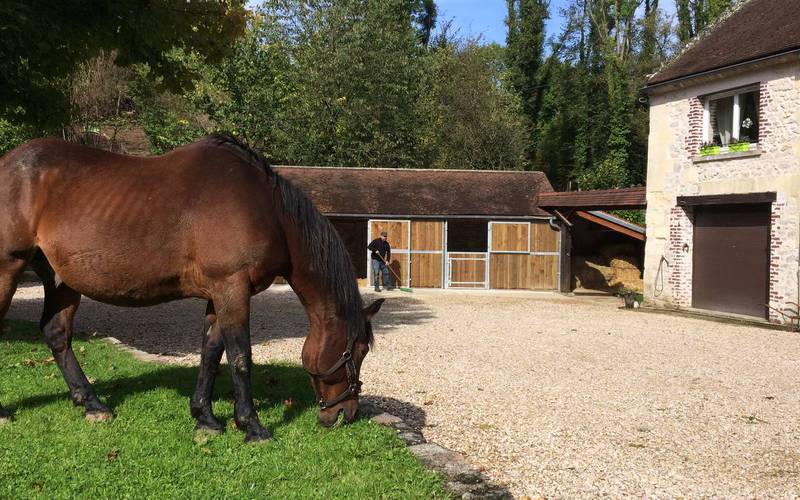 Equestrian cottage moulin d'icare