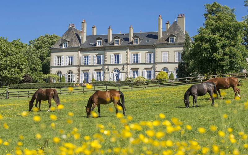 Horses in pasture in front of château d'Ygrande