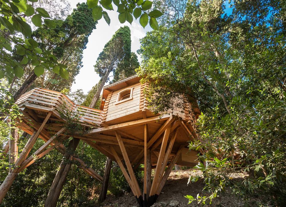 Cabane perchée dans les bois