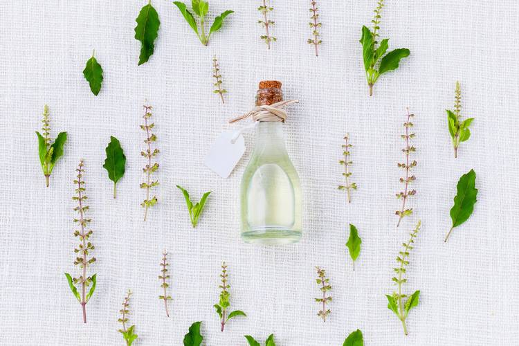 séjours et formations phyto-aromathérapie