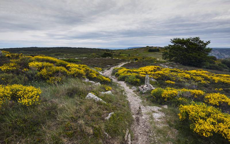 detox stay Haut Languedoc