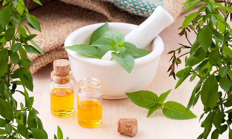 Discover  Aromatherapy and essential oils stay