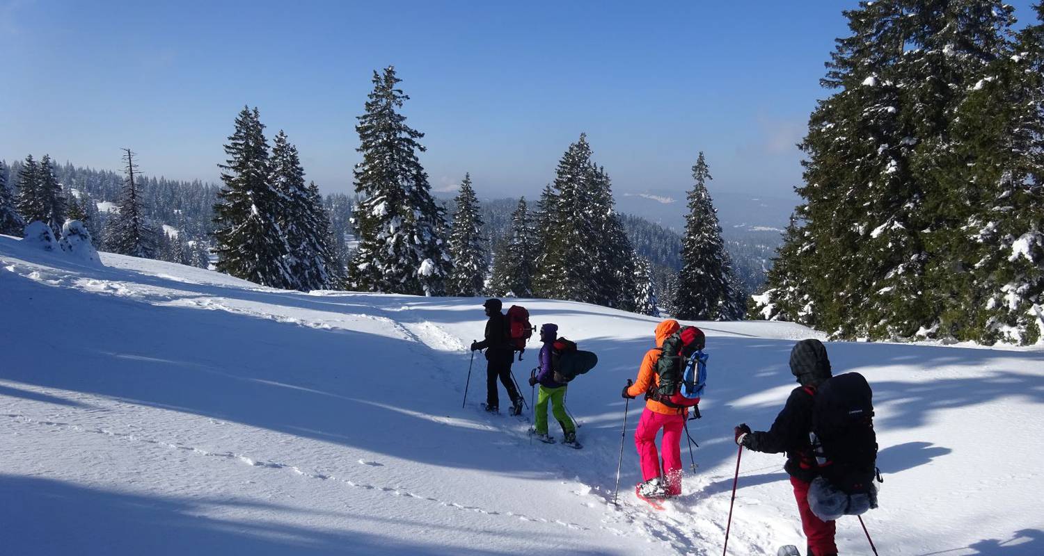 Extreme cold survival training in Slovakia