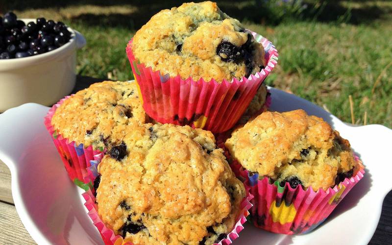 vegan blueberry muffin 