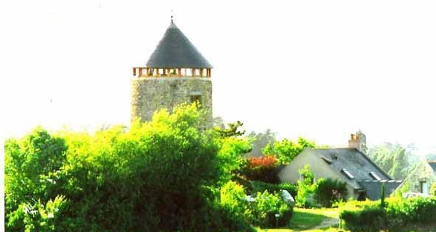 Chambre d'hôtes: moulin géant  à rochefort-sur-loire (104651)