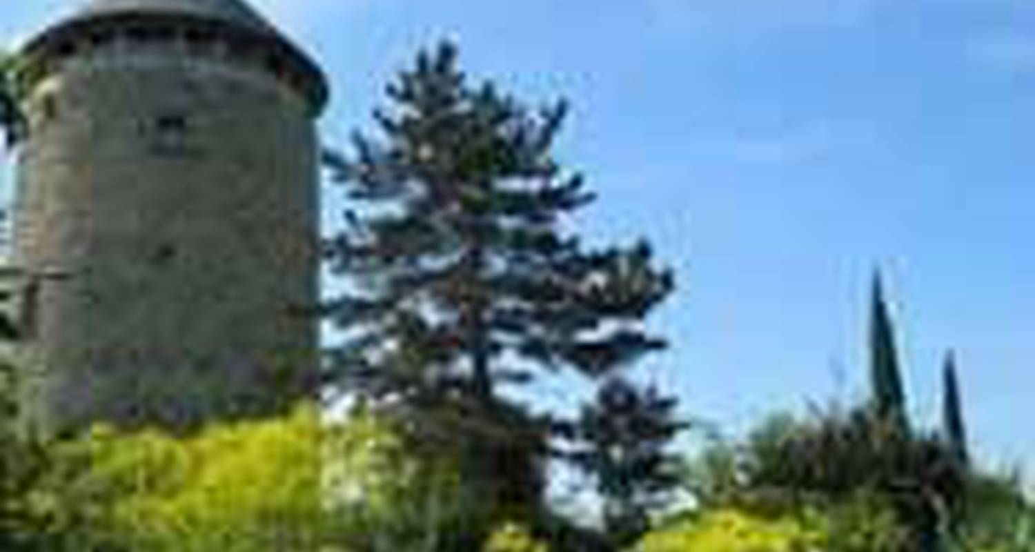 Chambre d'hôtes: moulin géant  à rochefort-sur-loire (104654)