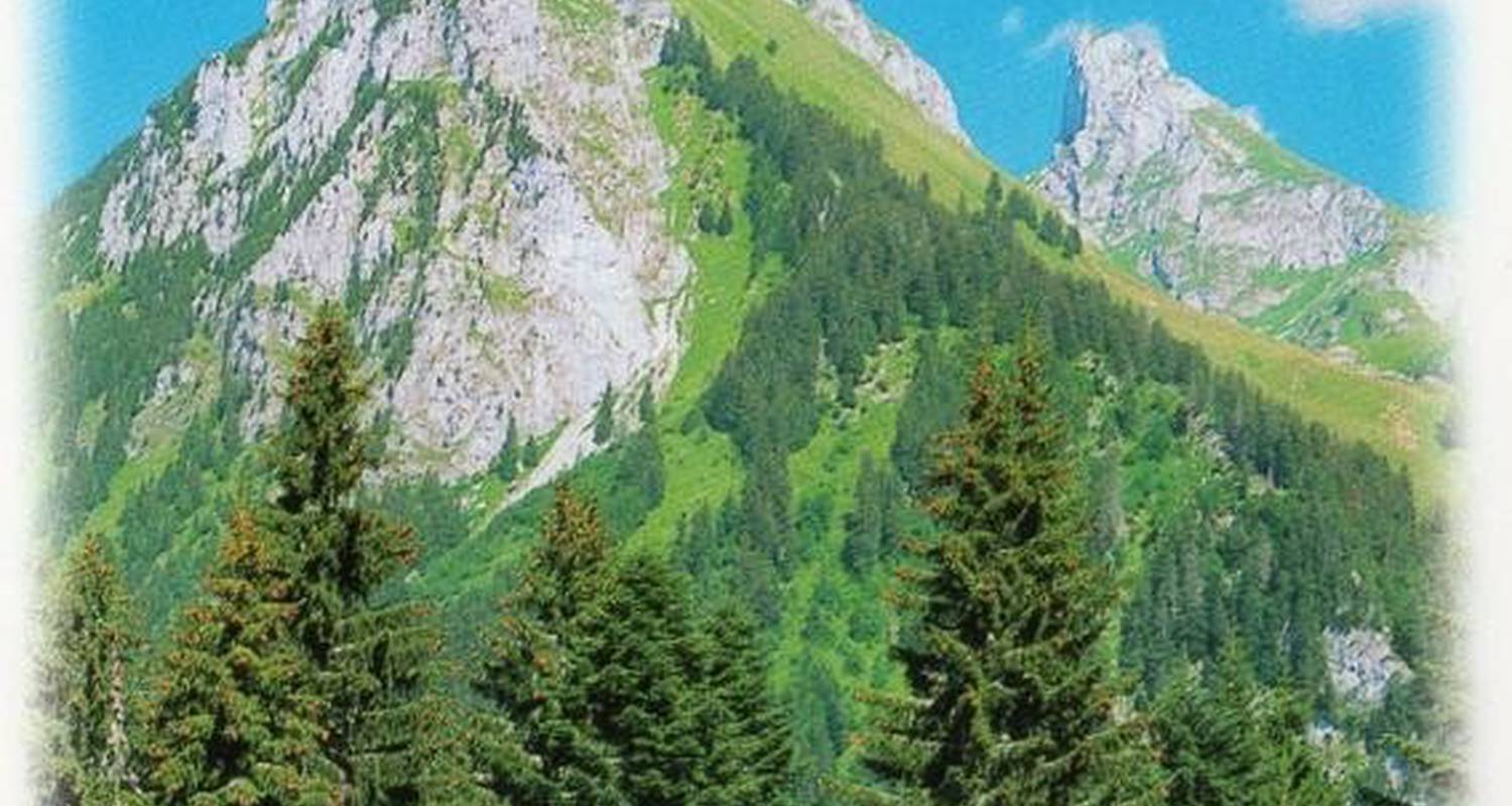 Gîte: edelweiss à saint-paul-en-chablais (105635)