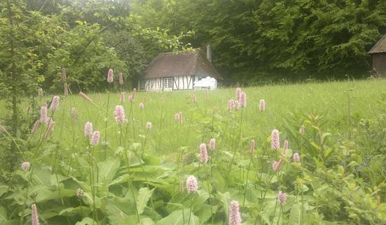 Le Cottage Normand photo
