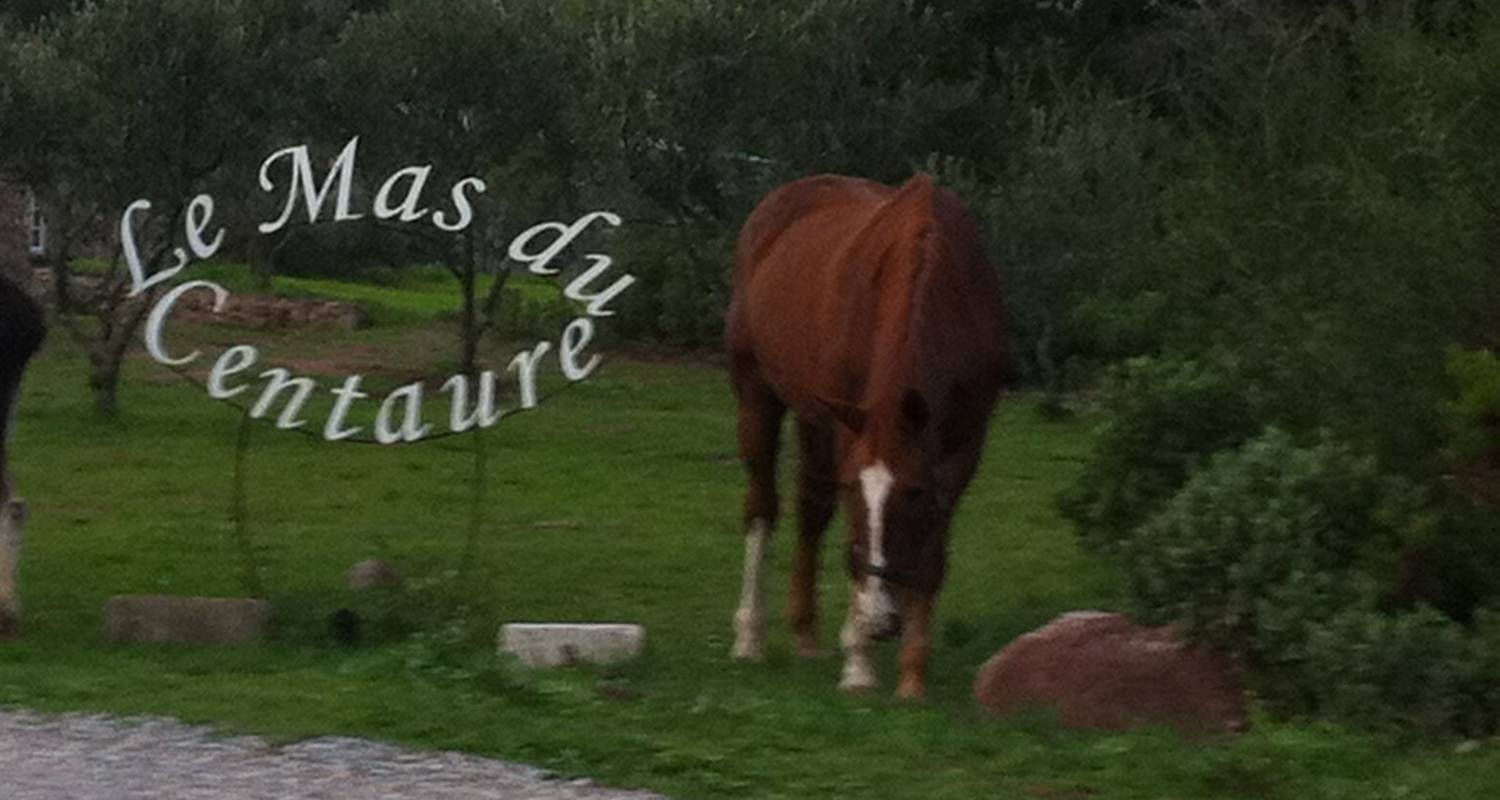 Bed & breakfast: le mas du centaure in puget-sur-argens (115025)
