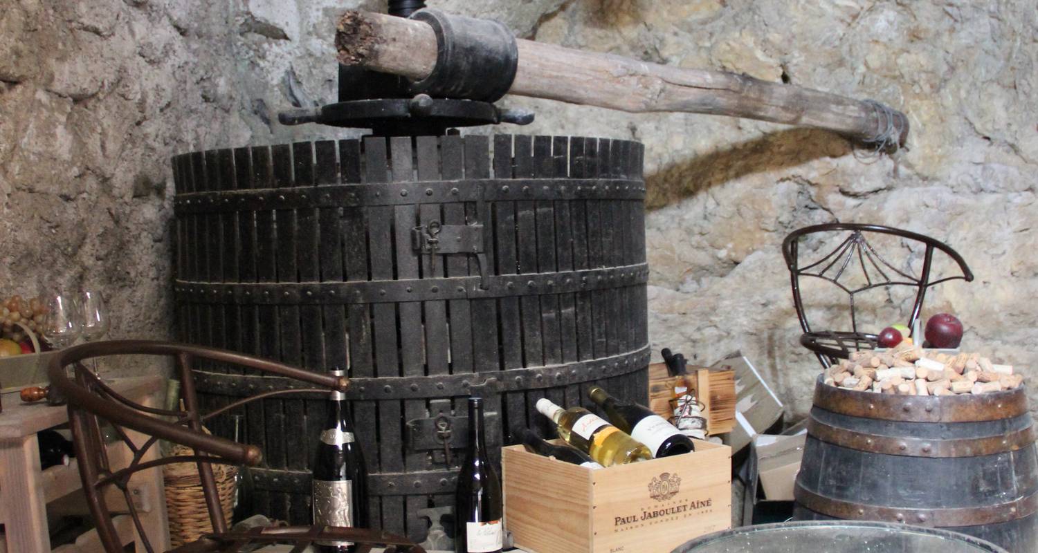 Activité: dégustation de vins ardéchois  en chomérac (123599)