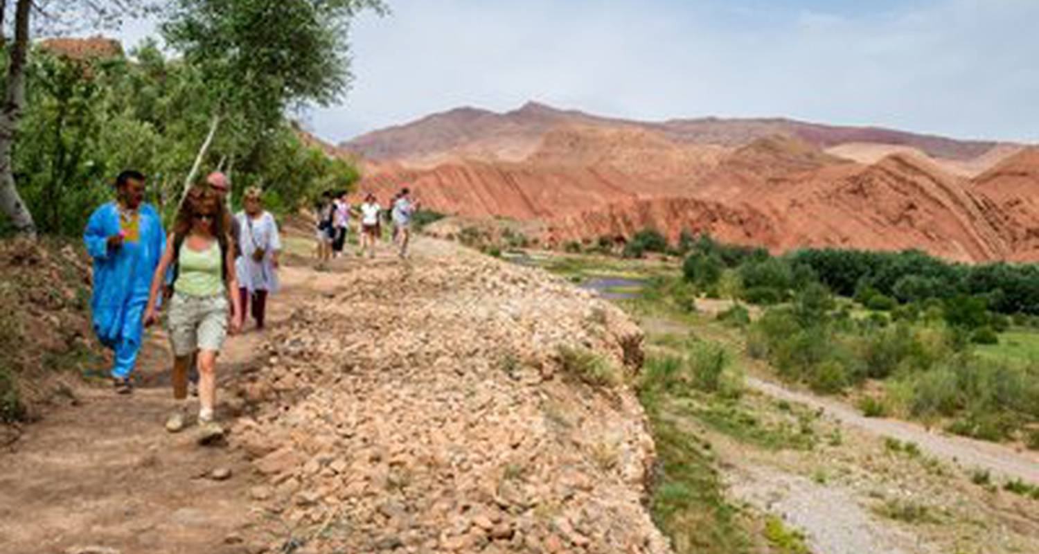 Activité: activities dar daif: courses kitchen, hammam, walks, donkeys, mountain biking, 4x4, canoe, bivouac, trek, desert, atlas, ornithological, pmr, library en ouarzazat (124096)