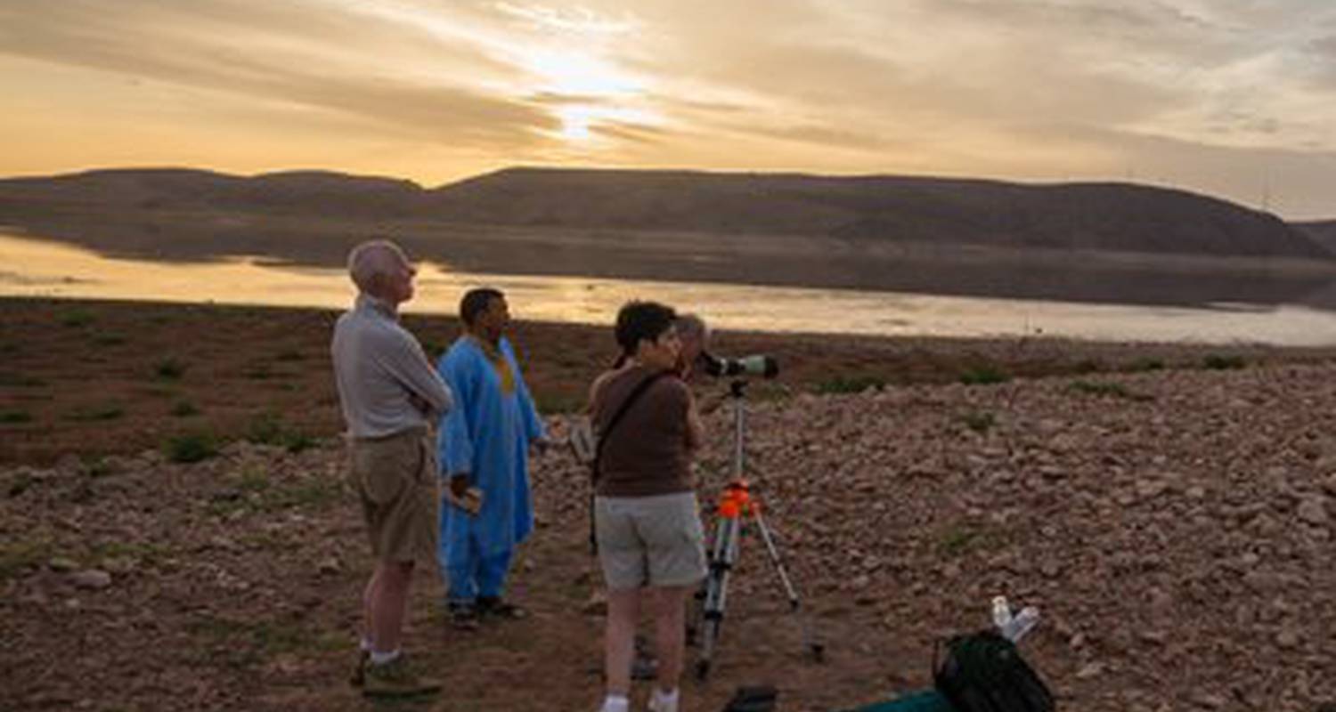 Activité: activities dar daif: courses kitchen, hammam, walks, donkeys, mountain biking, 4x4, canoe, bivouac, trek, desert, atlas, ornithological, pmr, library en ouarzazat (124097)