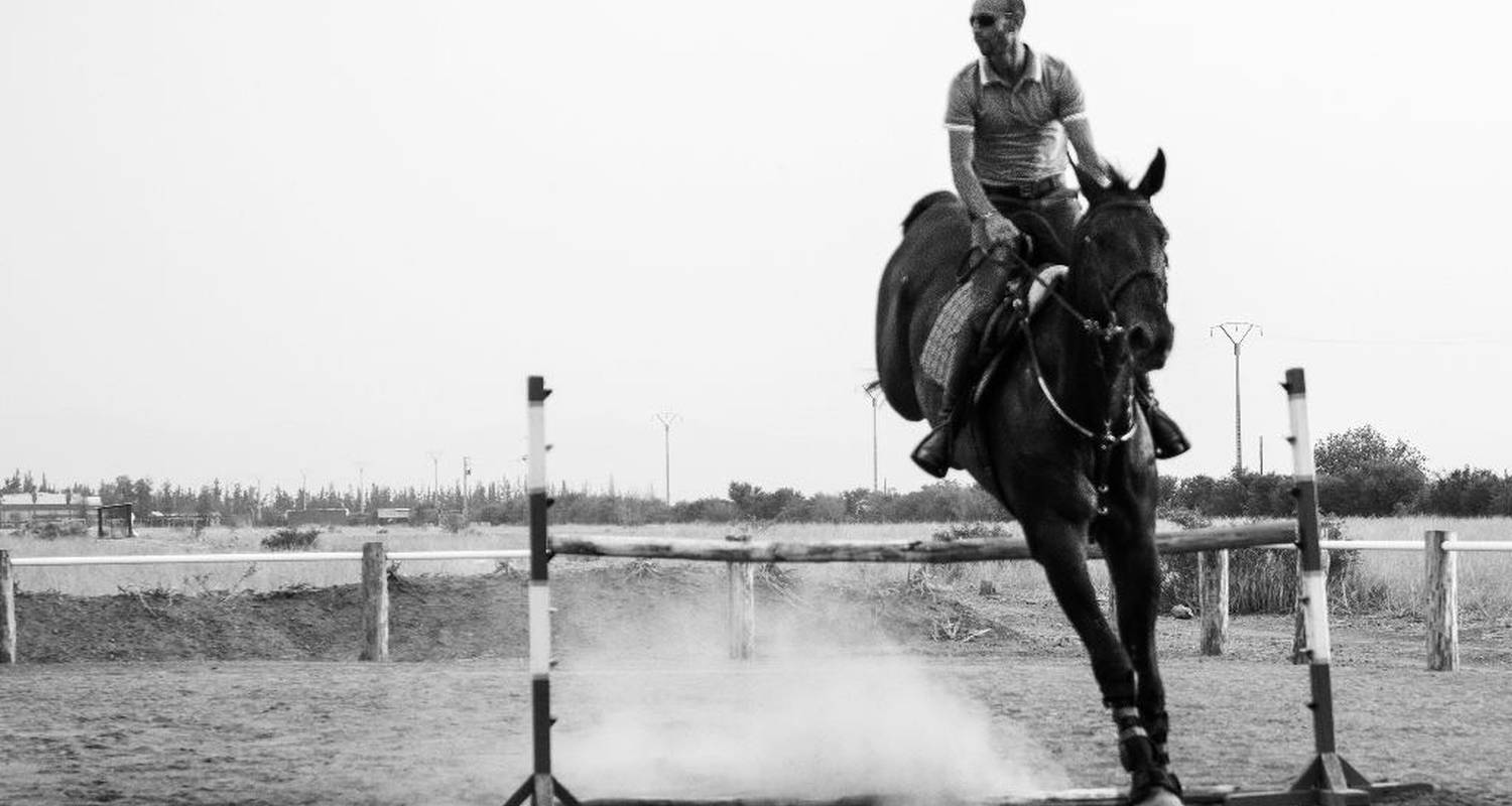 Activité: equitación: paseos y cursos en marrakesh (124333)
