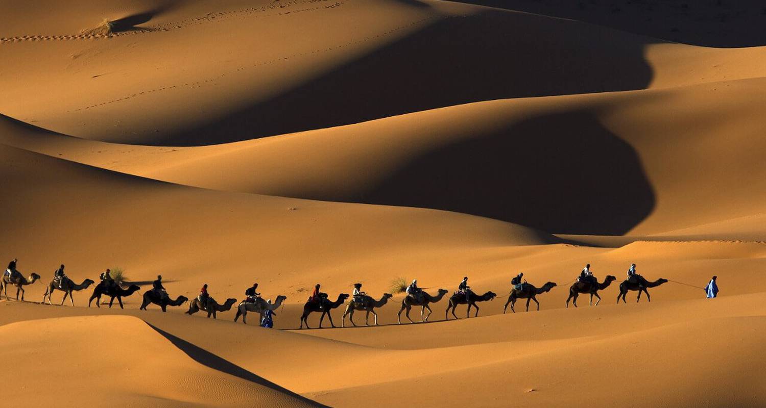 Activity: tours et trekks in ouarzazat (124447)