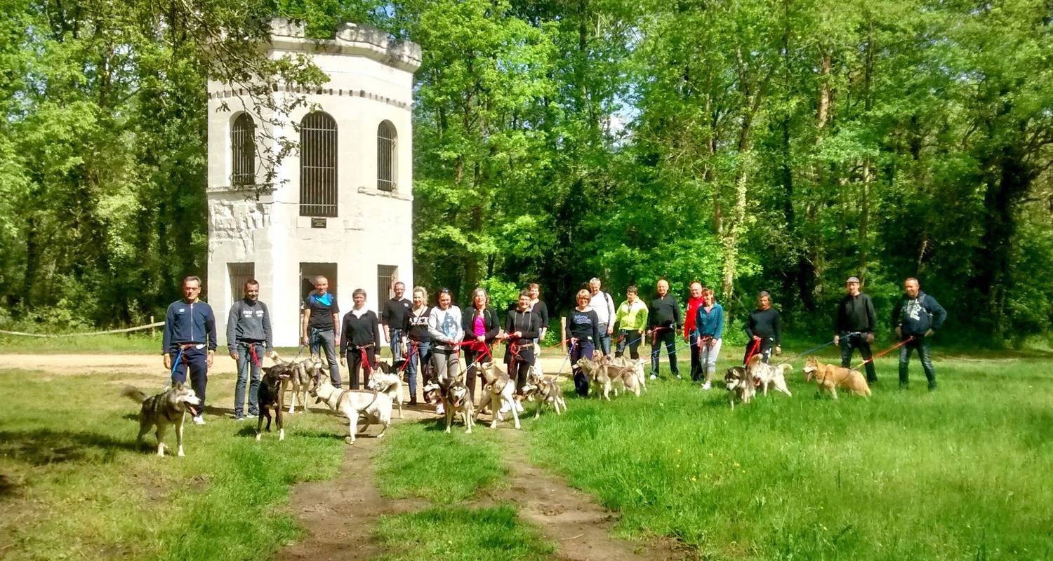 Activity: balade récréative en cani rando avec un husky de sibérie in jaulnay (125369)