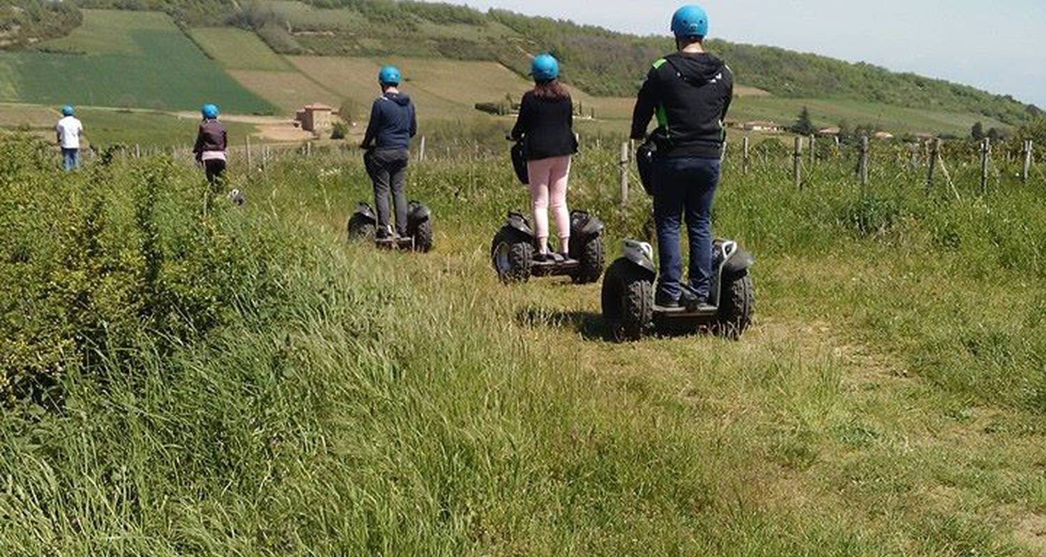 Activity: segway tour in the beaujolais vineyards in oingt (125469)
