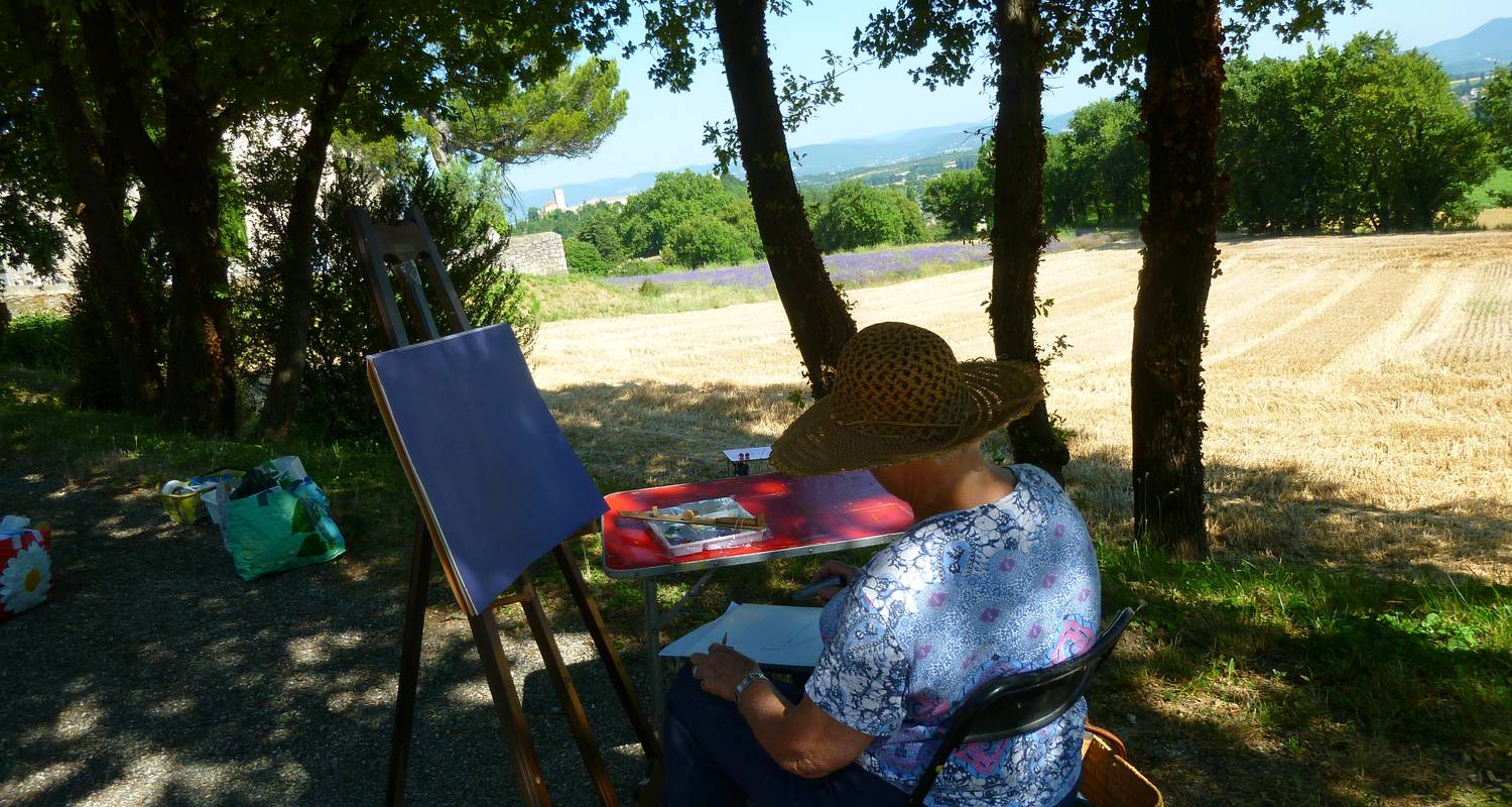Activité: stage de peinture paysage dans la drome  en salettes (125546)