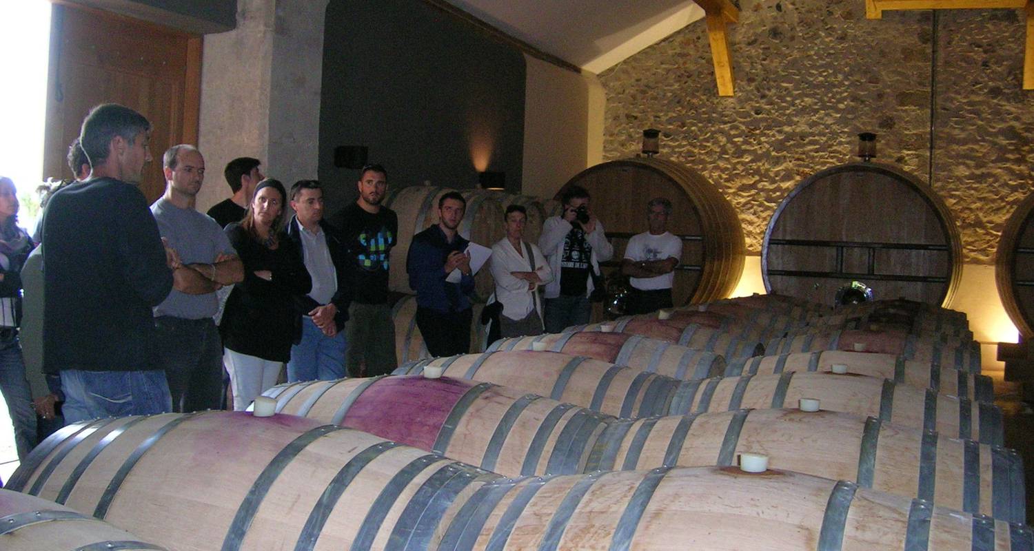 Activité: découvrir les arômes du vin à clermont-l'hérault (125549)