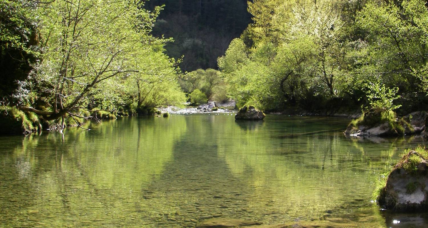 Activité: pêche à la mouche à barjac (125691)