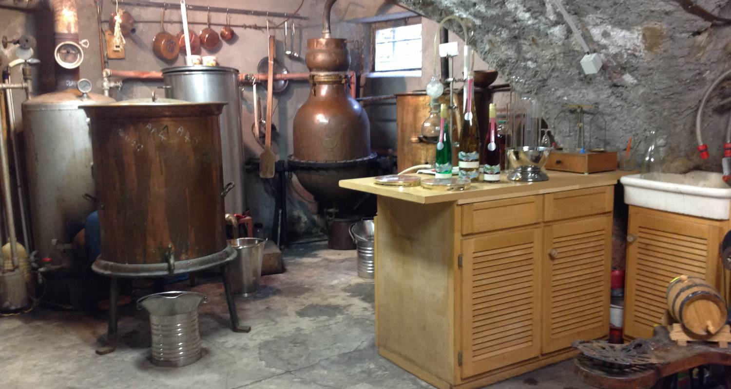 Activité: distillateur,liquoriste. en corps (125913)