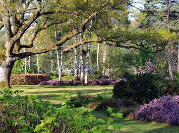 Arboretum des Grandes Bruyères