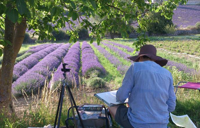 COURS ET STAGES : DESSINER - PEINDRE EN PLEINE NATURE