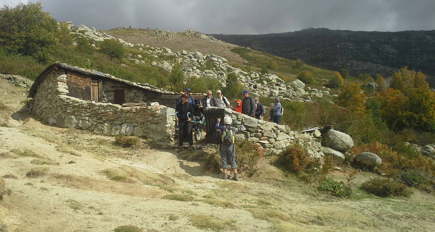 Activité: montagnes & merveilles de l'alta rocca: traversée du plateau du cuscionu et nuitée en cabane en quenza (129830)