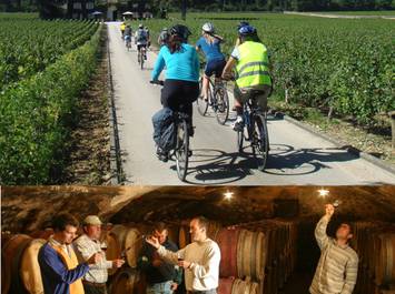 Vélo et vin dans les vignobles