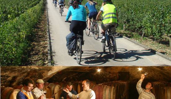 Bike and wine Tour in Burgundy