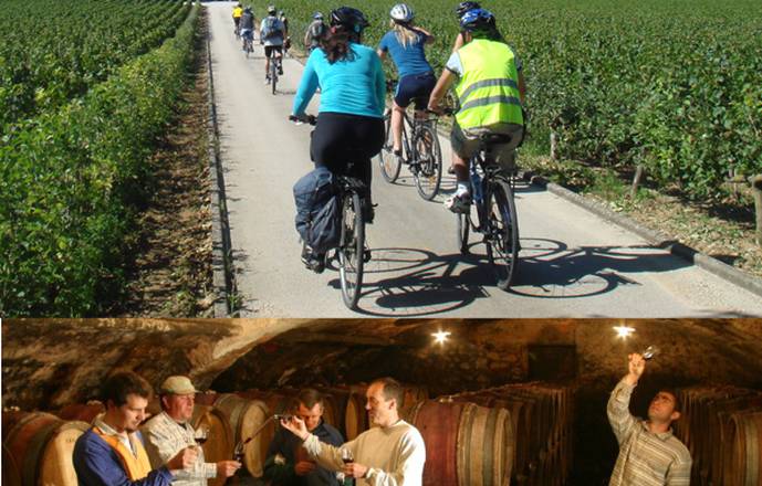 Vélo et vin dans les vignobles