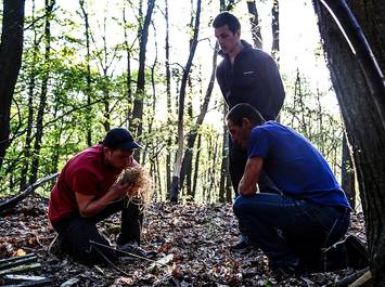 Stage de survie  "en milieux naturels"