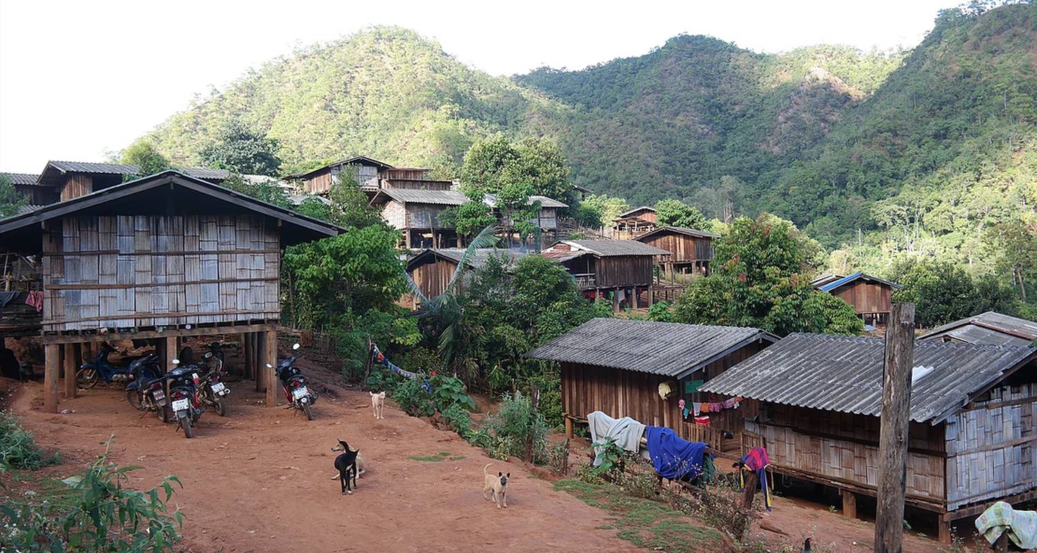Activity: trek découverte initiation à la survie en thaïlande " jungle lahu" in mérignac (130064)
