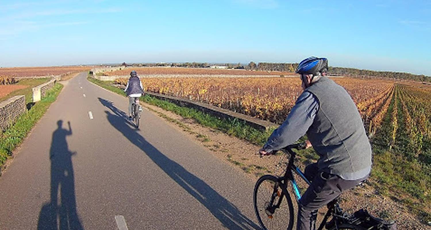Activité: demi journée vélo et vin en beaune (130238)