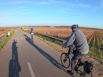 Half Day Bike and Wine Tour