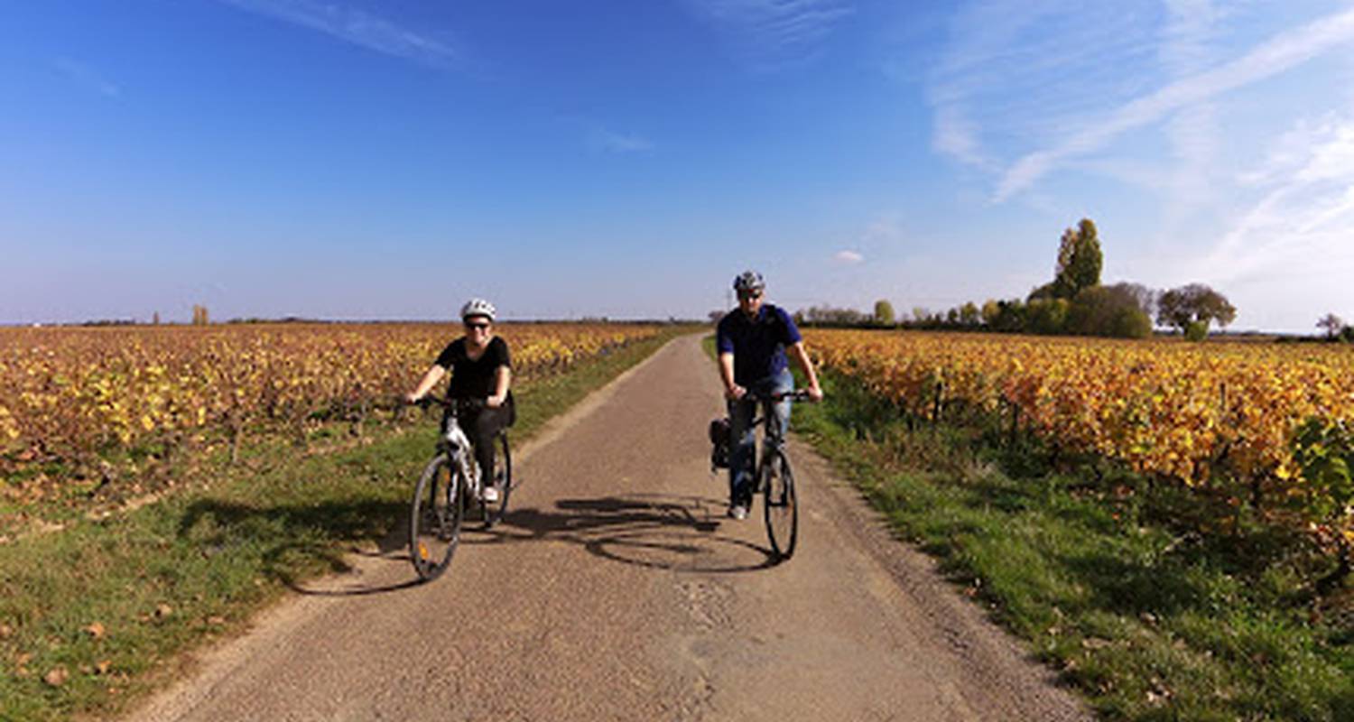Activité: demi journée vélo et vin en beaune (130240)