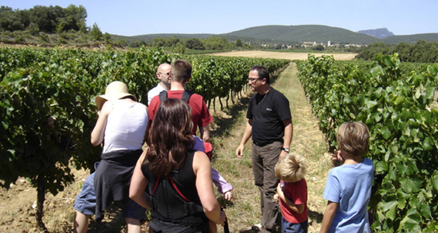 Activity: wine tour at the grand veneur winery  in orange (130980)