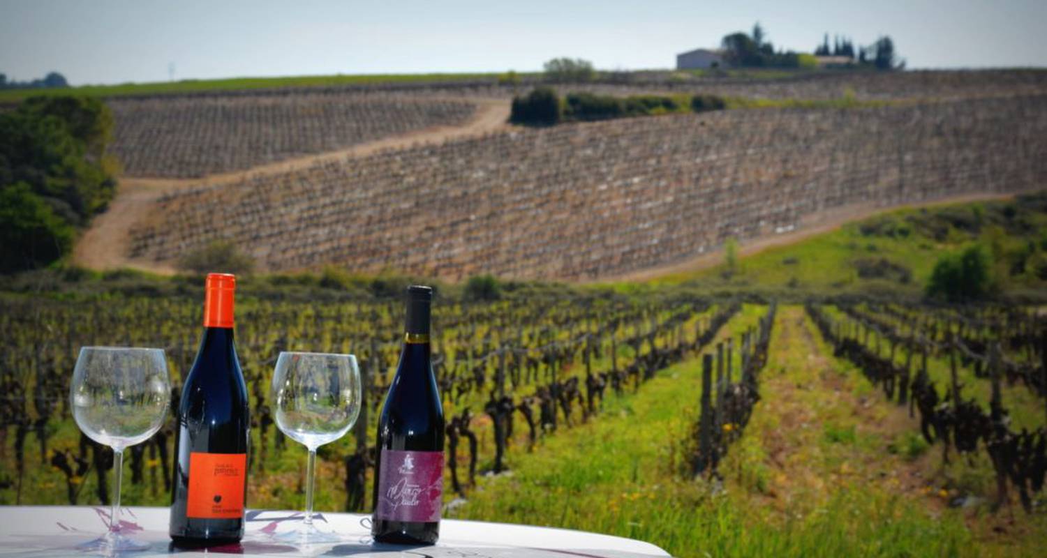 Activité: vigno'vins,  descubrimiento de la viña de saint christol en 4x4 en saint-christol (131752)