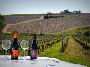Vigno'vins,  descubrimiento de la viña de Saint Christol en 4x4