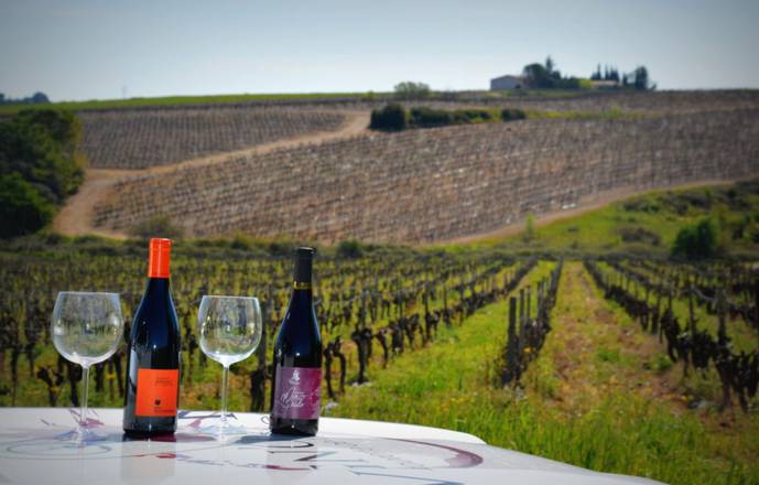 Vigno'vins, découverte du vignoble de Saint Christol en 4x4