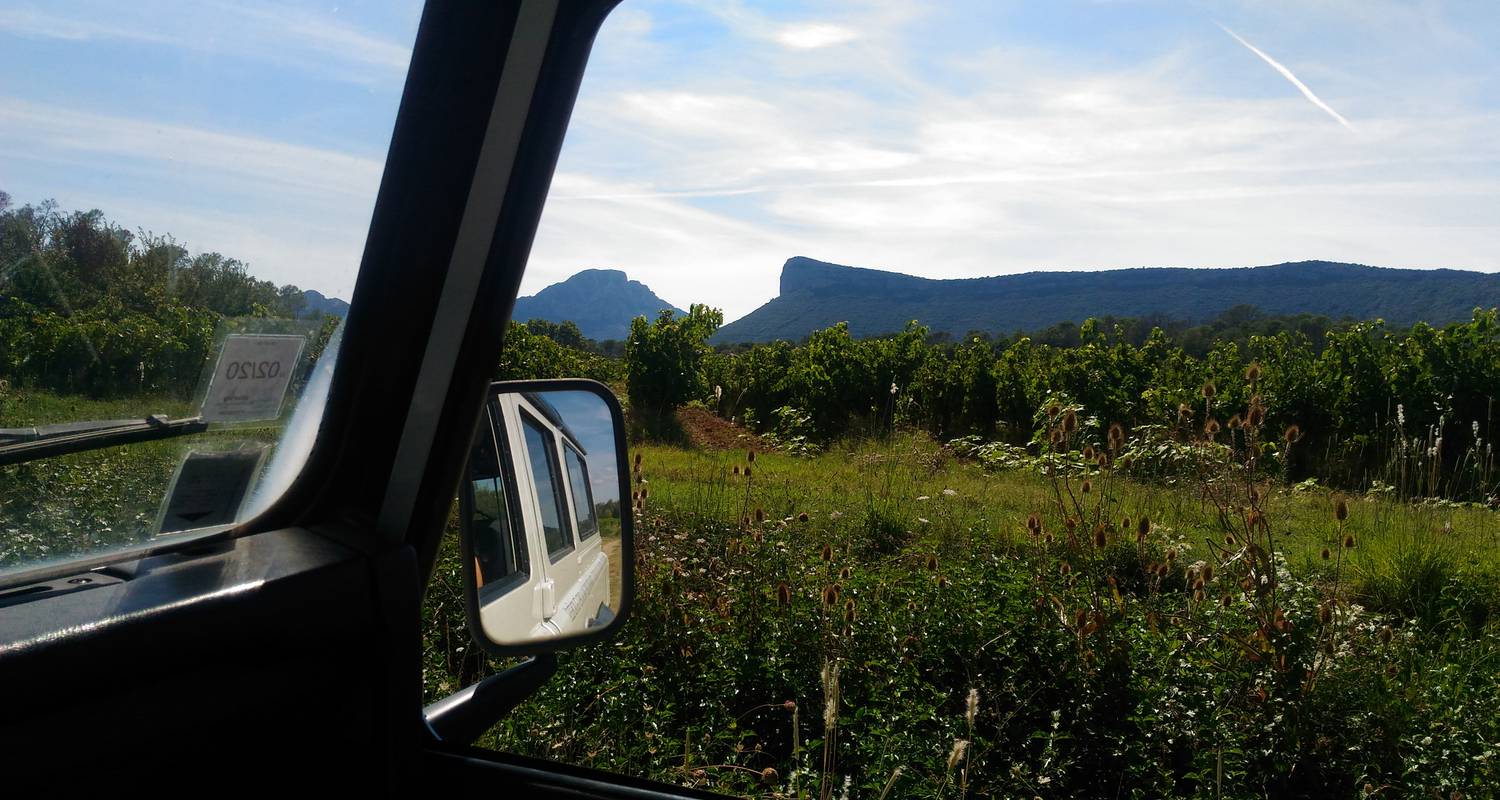 Activity:  vigno'vins, discovery of the vineyard of pic saint loup in 4x4 in saint-mathieu-de-tréviers (131762)
