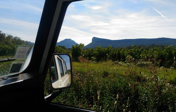 Vigno'vins,  descubrimiento de la viña del Pic Saint Loup en 4x4