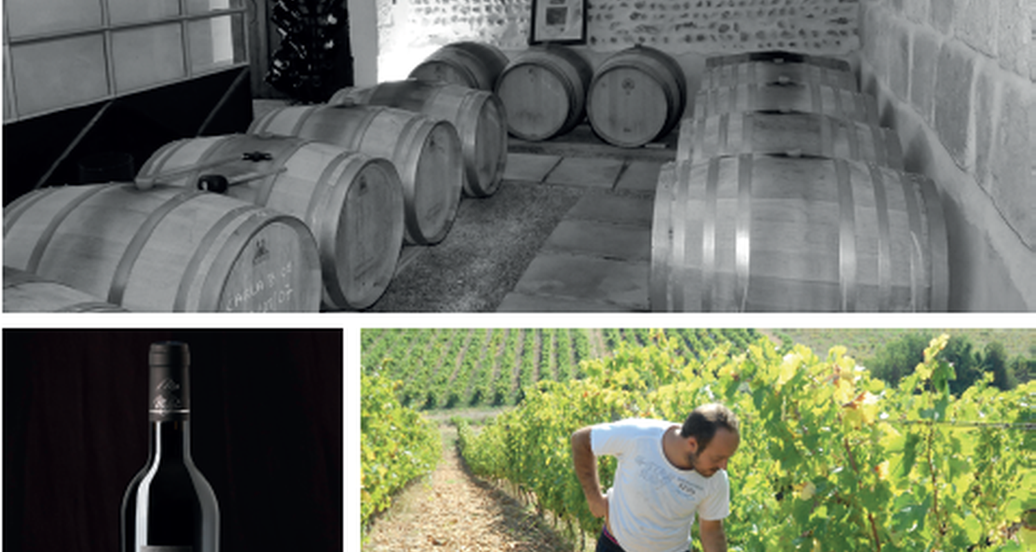Activité: vigno'vins, découverte de vignobles bio en 4x4 à saint-laurent-d'aigouze (131766)